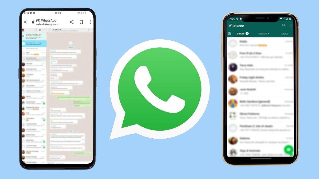 betvoy Whatsapp Hesabı