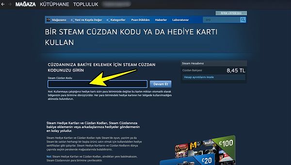 Steam Cüzdan Kodu Nereye Girilir?